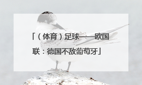 （体育）足球——欧国联：德国不敌葡萄牙