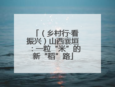 （乡村行·看振兴）山西襄垣：一粒“米”的新“稻”路