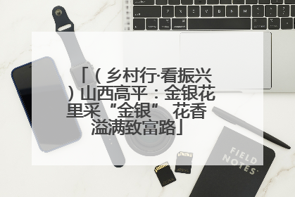 （乡村行·看振兴）山西高平：金银花里采“金银” 花香溢满致富路