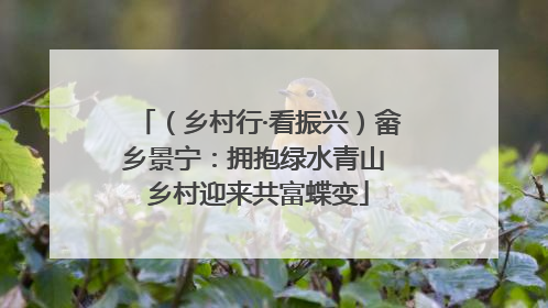 （乡村行·看振兴）畲乡景宁：拥抱绿水青山 乡村迎来共富蝶变