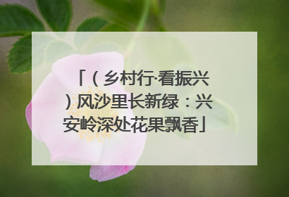 （乡村行·看振兴）风沙里长新绿：兴安岭深处花果飘香