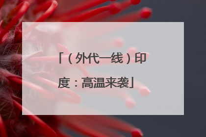 （外代一线）印度：高温来袭