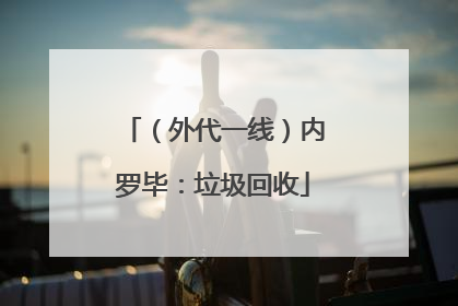 （外代一线）内罗毕：垃圾回收