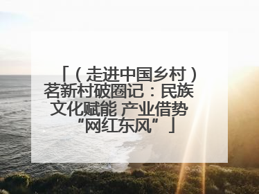（走进中国乡村）茗新村破圈记：民族文化赋能 产业借势 “网红东风”