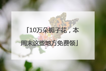 10万朵栀子花，本周末这些地方免费领