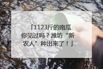 1123斤的南瓜你见过吗？潍坊“新农人”种出来了！