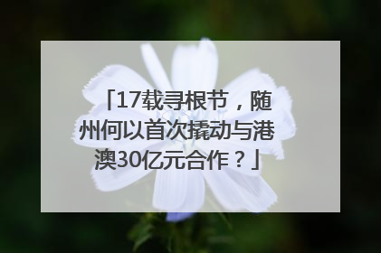 17载寻根节，随州何以首次撬动与港澳30亿元合作？