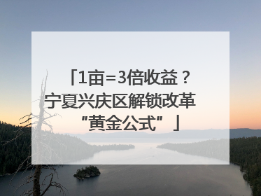 1亩=3倍收益？宁夏兴庆区解锁改革“黄金公式”