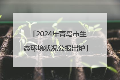 2024年青岛市生态环境状况公报出炉