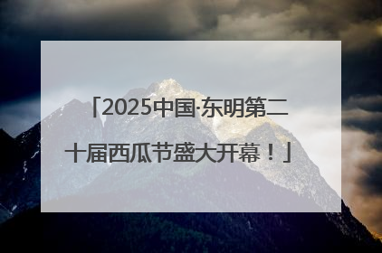 2025中国·东明第二十届西瓜节盛大开幕！