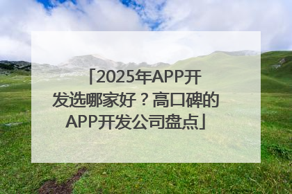 2025年APP开发选哪家好？高口碑的APP开发公司盘点