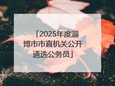2025年度淄博市市直机关公开遴选公务员