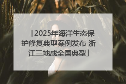 2025年海洋生态保护修复典型案例发布 浙江三地成全国典型