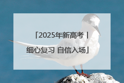 2025年新高考丨细心复习 自信入场