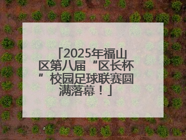 2025年福山区第八届“区长杯”校园足球联赛圆满落幕！