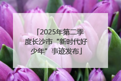 2025年第二季度长沙市“新时代好少年”事迹发布