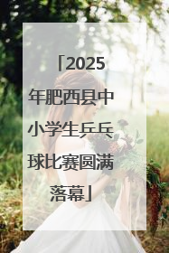 2025年肥西县中小学生乒乓球比赛圆满落幕
