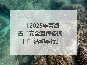 2025年青海省“安全宣传咨询日”活动举行