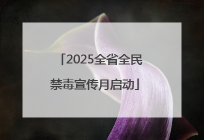 2025全省全民禁毒宣传月启动