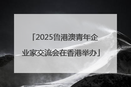 2025鲁港澳青年企业家交流会在香港举办