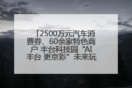 2500万元汽车消费券、60余家特色商户 丰台科技园“AI丰台 更京彩”未来玩家市集活动正式开幕