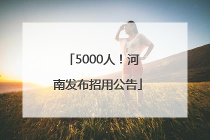 5000人！河南发布招用公告
