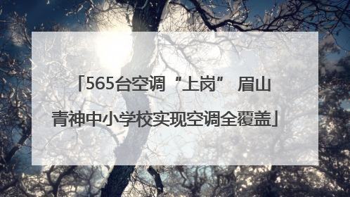 565台空调“上岗” 眉山青神中小学校实现空调全覆盖