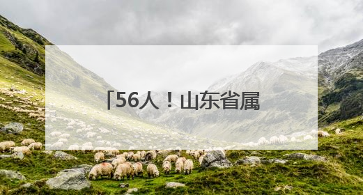 56人！山东省属事业单位招聘啦