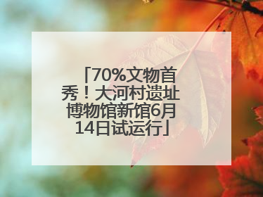 70%文物首秀！大河村遗址博物馆新馆6月14日试运行