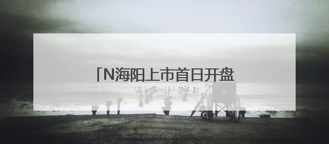 N海阳上市首日开盘上涨186.96%