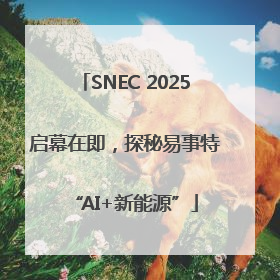 SNEC 2025启幕在即，探秘易事特“AI+新能源”